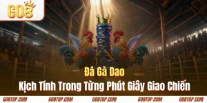 Gà cựa dao