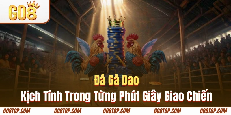 Gà cựa dao