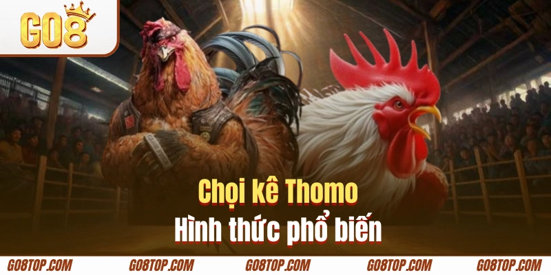 Chọi kê Thomo là hình thức phổ biến