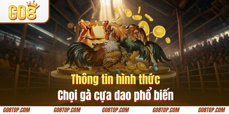 Tổng quan về bộ môn đá gà cựa dao