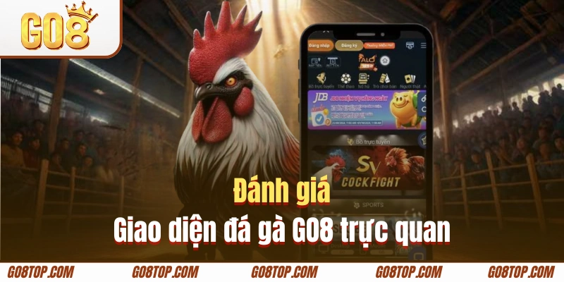 Chất lượng giao diện được khách hàng đánh giá cao