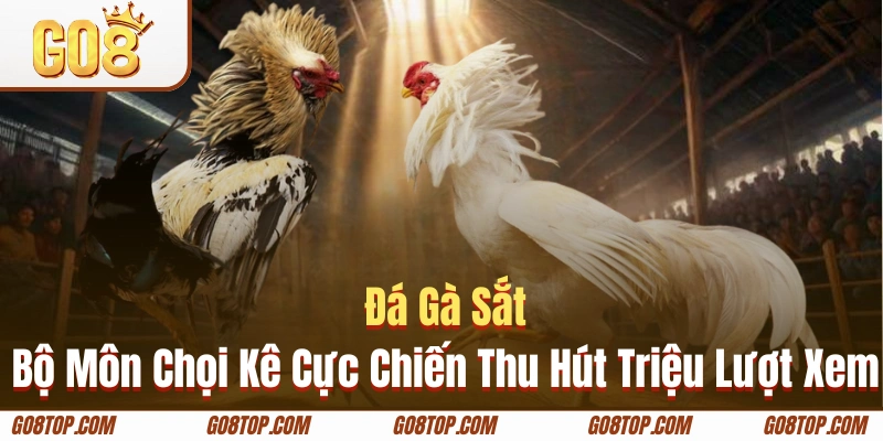 Gà cựa sắt