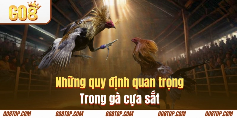 Quy tắc tham gia các trận đấu gà cựa sắt