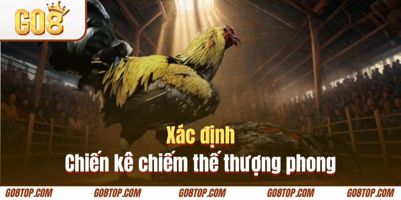 Chiến lược quan sát tìm chiến kê có ưu thế