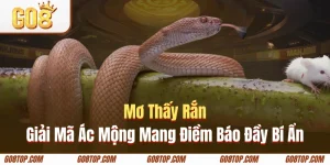 Mơ thấy rắn