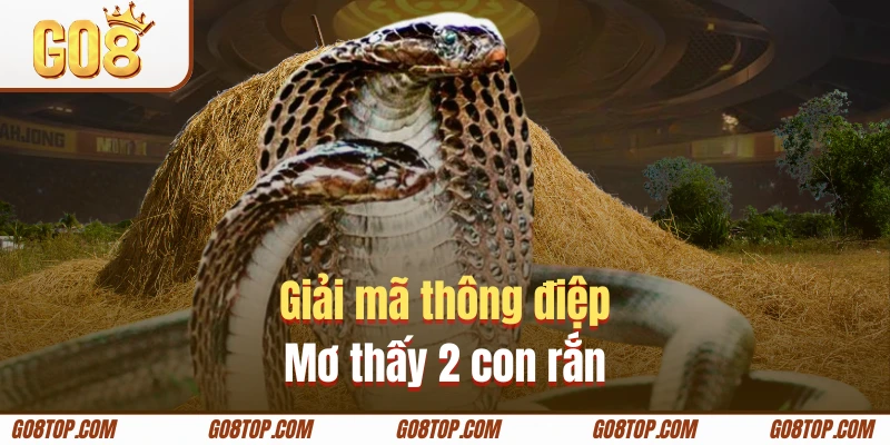 Hình ảnh hai con rắn xuất hiện là cảnh báo nghiêm trọng